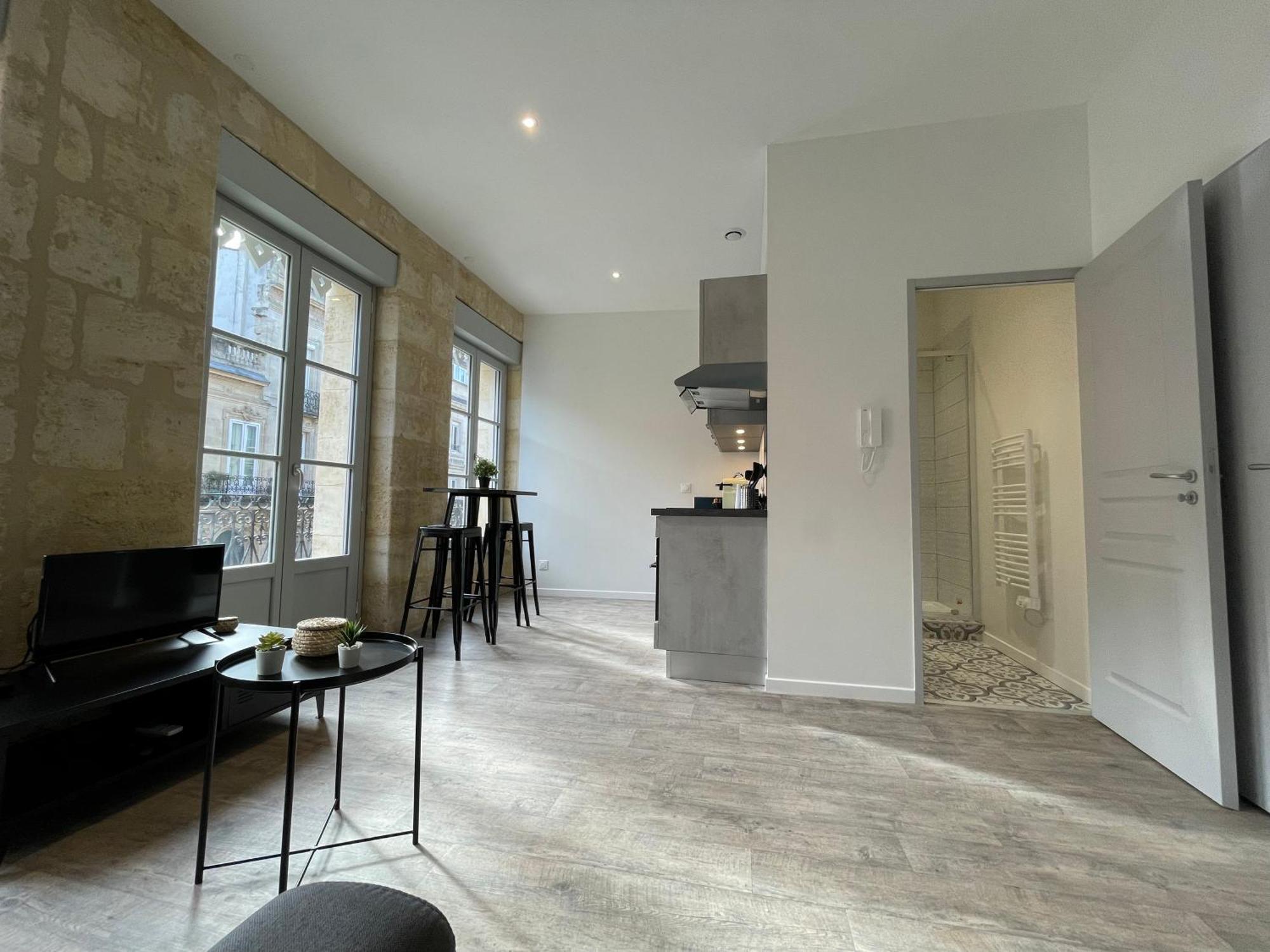 Studios Climatises En Centre Ville Бордо Экстерьер фото